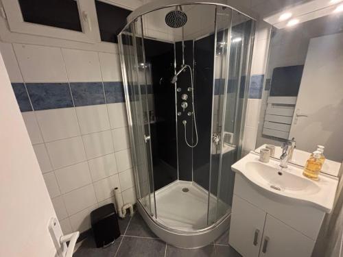 une salle de bain avec douche et lavabo dans l'établissement R'Apparts T2 Au Pied des Alpes, à Grenoble