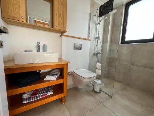 un bagno con lavandino, WC e doccia di Derya Beach Agullu Villa 3 a Kaş