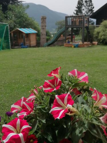 a bush of pink flowers in front of a playground at Appartement Rehlein in Mauterndorf