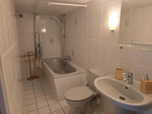 a bathroom with a toilet and a sink and a tub at Huthaus zum Molchner Stollen in Pobershau