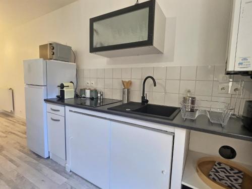 a kitchen with a sink and a white refrigerator at Le thannaron - Centre ville in Bourg-lès-Valence