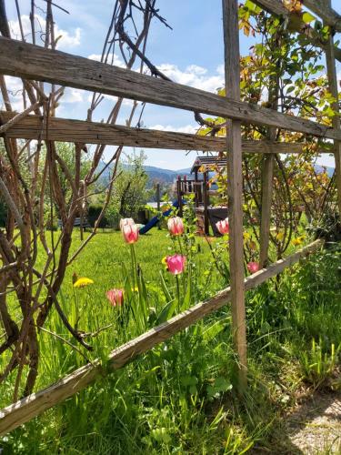 a wooden fence with pink flowers in a field at Haus Fernblick in Birkfeld