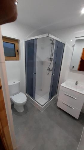 a bathroom with a shower and a toilet and a sink at Domki na Bukowinie in Węgierska Górka