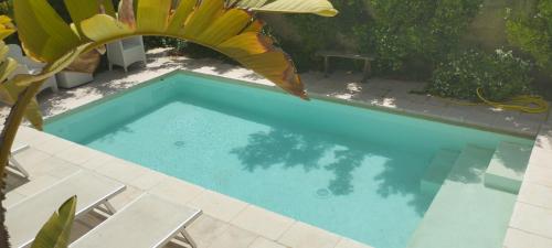 a blue swimming pool with a table and a plant at Dimora Maltese in Morciano di Leuca