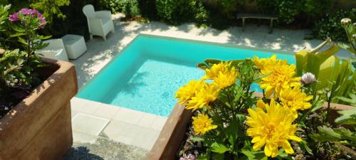 a swimming pool with yellow flowers in a garden at Dimora Maltese in Morciano di Leuca