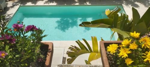 a swimming pool filled with lots of colorful flowers at Dimora Maltese in Morciano di Leuca