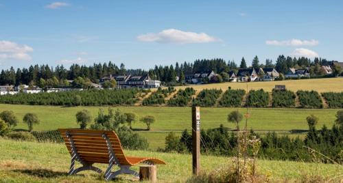 eine Holzbank, die auf einem Grasfeld sitzt in der Unterkunft Ferienwohnung Winterberg in Winterberg