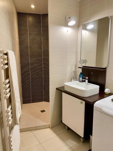 une salle de bain avec un lavabo et une douche dans l'établissement Sarlat Héritage - Au cœur de l'histoire - classé 3 étoiles, à Sarlat-la-Canéda