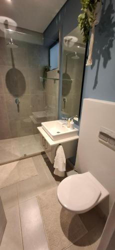 a bathroom with a toilet and a sink and a shower at Ocean Club Zimbali Lakes D16 in Ballito