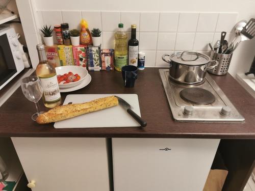 Photo de la galerie de l'établissement Eiffel Tower, Seine River, Private Apartment, Pont De L'Alma, 2 min walk, à Paris