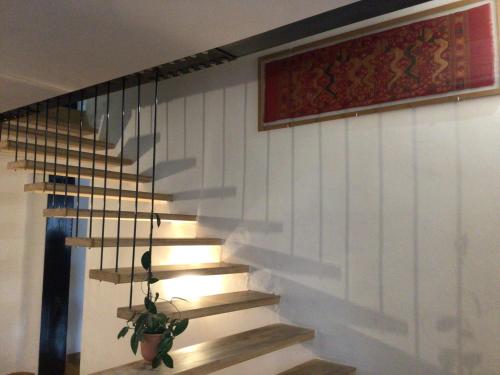 a staircase in a house with a potted plant at Casa centro storico Rieti in Rieti