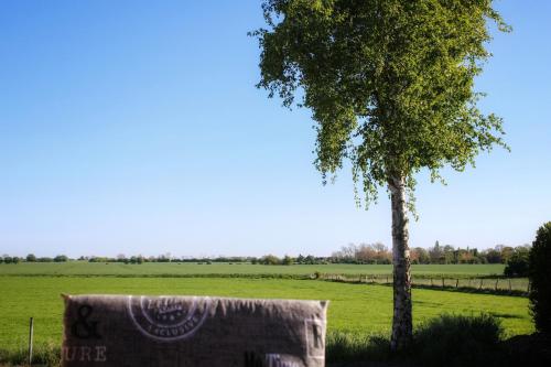 a sign in front of a field with a tree at Ferienwohnung Albert in Bannesdorf