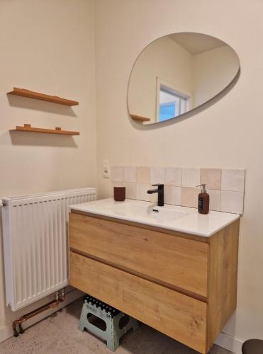a bathroom with a sink and a mirror at Fully equiped 100 m2 appt with the perfect location in Vilvoorde