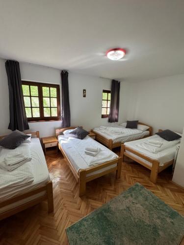 a room with four beds in it with windows at Lisine Ribnjak in Despotovac