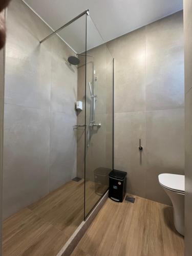 a bathroom with a glass shower and a toilet at Emi Seaside in Amoudara Herakliou