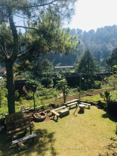 ein Park mit einer Bank und einem Baum in der Unterkunft Villa Rian Argapuri Resort in Gambung