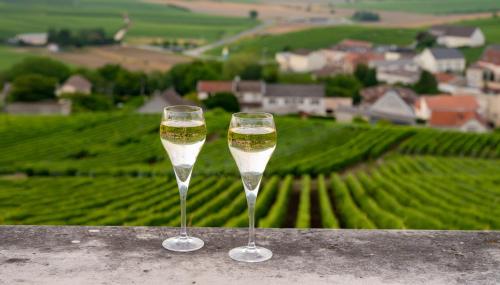 deux verres de vin posés sur un rebord avec un vignoble dans l'établissement Le loft, à Bar-sur-Aube