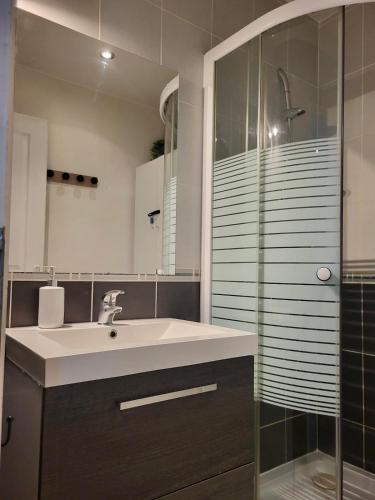 une salle de bain avec un lavabo et une douche en verre dans l'établissement Appartement T2 et Parking Annecy, à Annecy