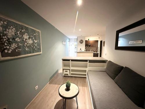 un salon avec un canapé et une table dans l'établissement Appartement T2 et Parking Annecy, à Annecy