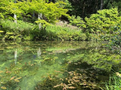a body of water with trees and bushes at 最大9名可 無料駐車場付 和モダン1棟貸切 4独立寝室 乾燥機付 in Gifu