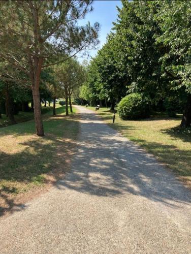 une route de gravier avec des arbres de chaque côté dans l'établissement Olatua La vague votre havre Basque à la mer, à Saint-Jean-de-Luz
