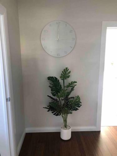 a plant in a room with a clock on the wall at A Prince on Clinton in Orange