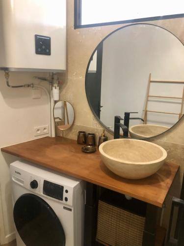 une salle de bain avec un lavabo et un miroir et une machine à laver dans l'établissement Mon nid aux rochers, à La Garde