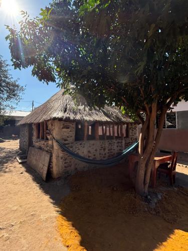 a building with a hammock in front of a tree at Simoonga guest house in Livingstone