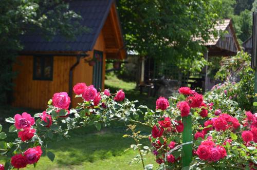 Ivona - Kuća za odmor Perušić - Stara Lika