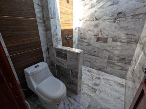 a bathroom with a toilet and a walk in shower at Maryan Moyo Bungalows & Resto in Moyo Island