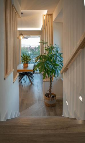 a hallway with a table and a potted plant at DomusBiri in Bracciano