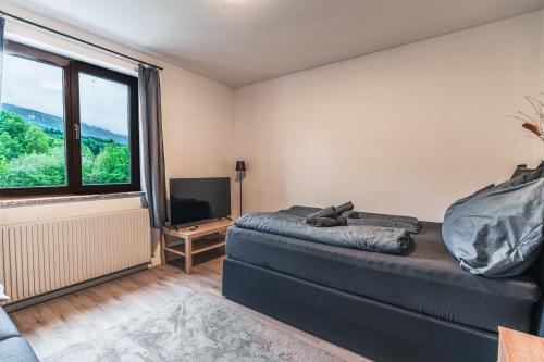 a bedroom with a bed and a tv and a window at Zentral am Fluss #2 in Bad Ischl