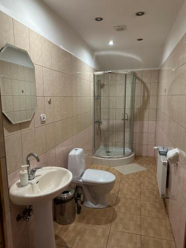 a bathroom with a sink and a toilet and a shower at Kaņiermāja in Lapmežciems