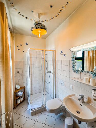 a bathroom with a shower and a toilet and a sink at Pension Spreewelten in Lübbenau