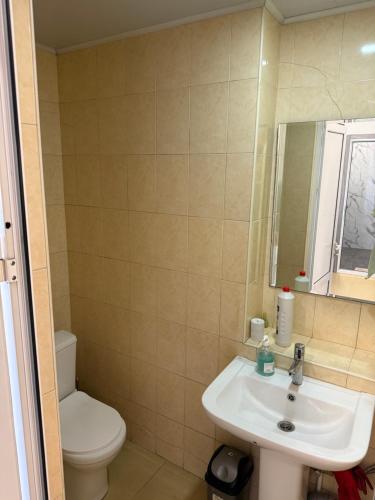 a bathroom with a sink and a toilet and a mirror at Дом для отдыха in Yerevan