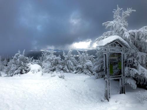 a gazebo in the snow next to some trees at Apartmány Naxarův dvůr in Horažďovice