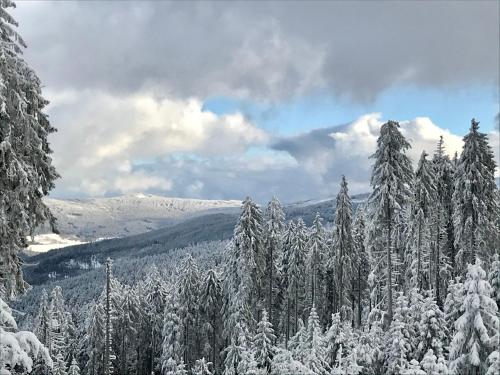 a snow covered forest of pine trees with mountains in the background at Apartmány Naxarův dvůr in Horažďovice