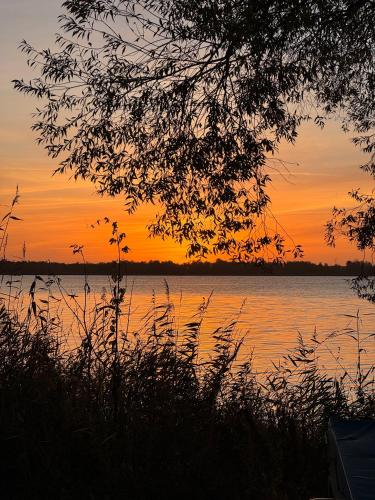 La Pura Vida - Glamping