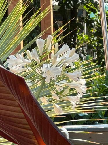 a bunch of white flowers sitting on a bench at La Pura Vida - Glamping in Brandenburg an der Havel