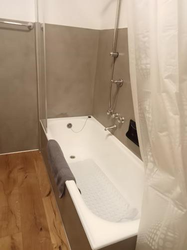 a white bath tub in a bathroom with a shower at Villa Wetzel Domaso in Montemezzo
