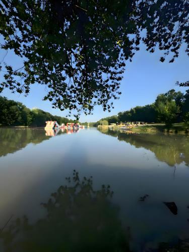 a view of a river with boats on it at Chalets Camping Lacs d'Armagnac in Bretagne-dʼArmagnac