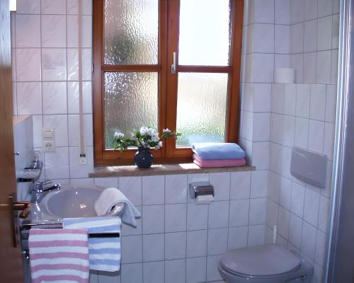 a bathroom with a sink and a toilet and a window at Baumanns Ferienhof Am See in Bettnau