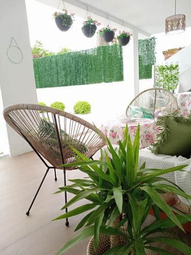 Apartamentos CASA AMELIA