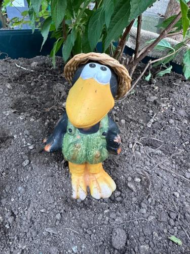 a toy animal with a hat on its head at Nest & Rest Garden Stay with Free Parking in Salzburg