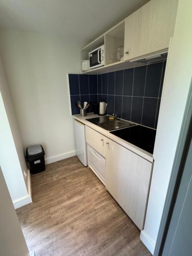 une petite cuisine avec un évier et un micro-ondes dans l'établissement Studios aux hameaux de Camargue, à Arles