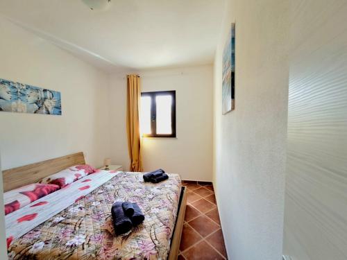 Giường trong phòng chung tại Peter Pan`s Oasis