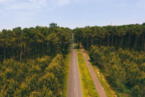 an empty road in the middle of a forest at Dune Lodge 2- Capbreton Hossegor - in Capbreton