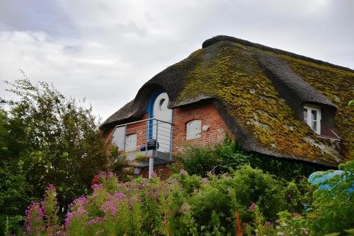 a thatch roofed house with a window and ivy at Ferienhaus Tammwarfthuus in Pellworm