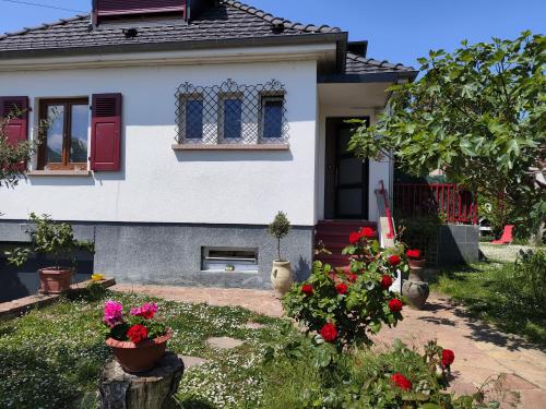 Κήπος έξω από το Colmar Room,chambre privée chez l'habitant,parking voiture devant la maison,garage moto et vélo