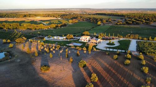 an aerial view of a estate with a mansion at Quinta do Pé da Charca in São Vicente do Paul